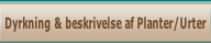 Dyrkning & beskrivelse af Planter/Urter.